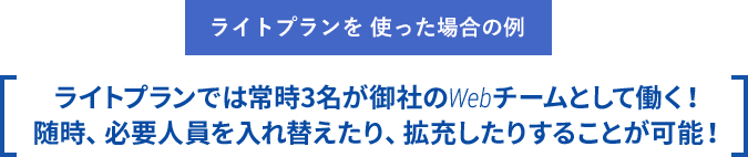 ライトプランを使った場合の例
