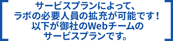 サービスプランによって、ラボの必要人員の拡充が可能です！以下が御社のWebチームのサービスプランです。